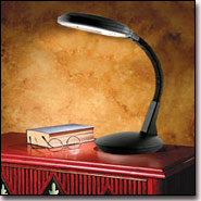 Desk Lamp